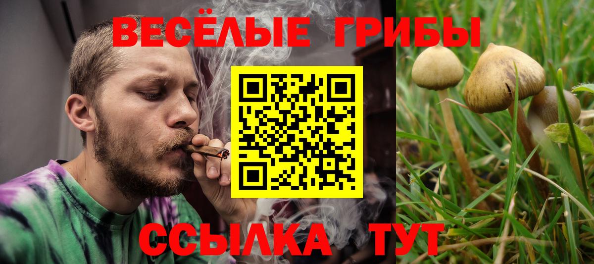 Большой Камень  Галлюциногенные грибы мухоморы  Вход с VPN  Галлюциногенные грибы мицелий 
