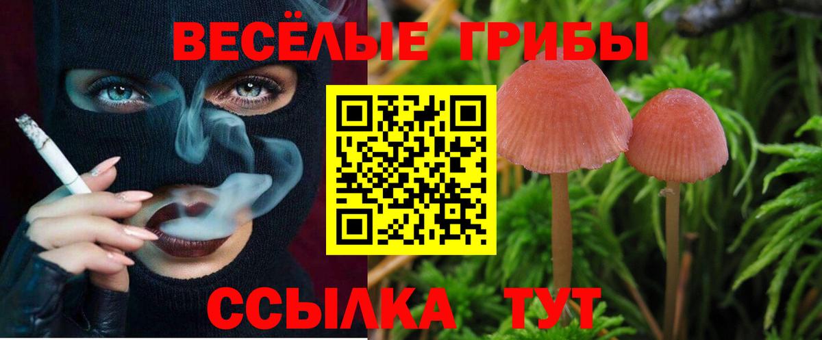 Псилоцибиновые грибы GOLDEN TEACHER Большой Камень